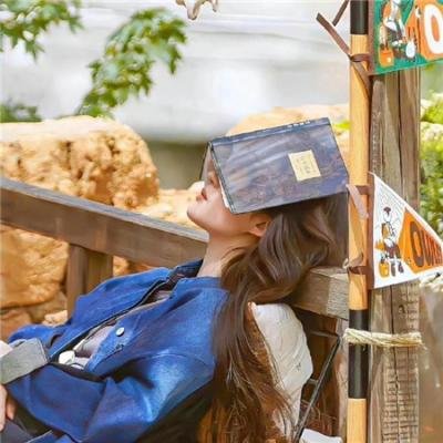 科搜研之女第24季